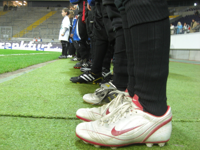 fsv_pauli_019