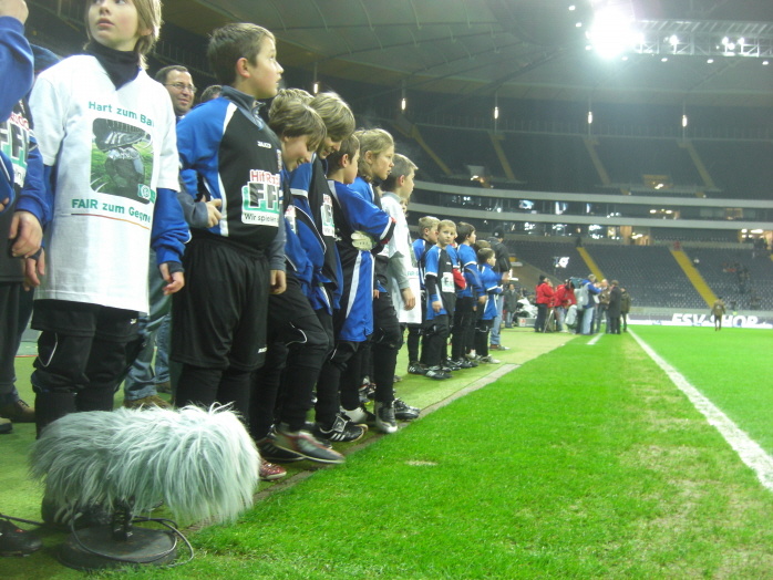 fsv_pauli_020